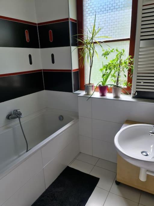 Comfortable Apartment! Prag Exterior foto